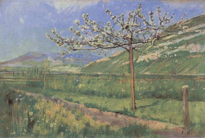 Ferdinand Hodler Apple tree in Blossom China oil painting art